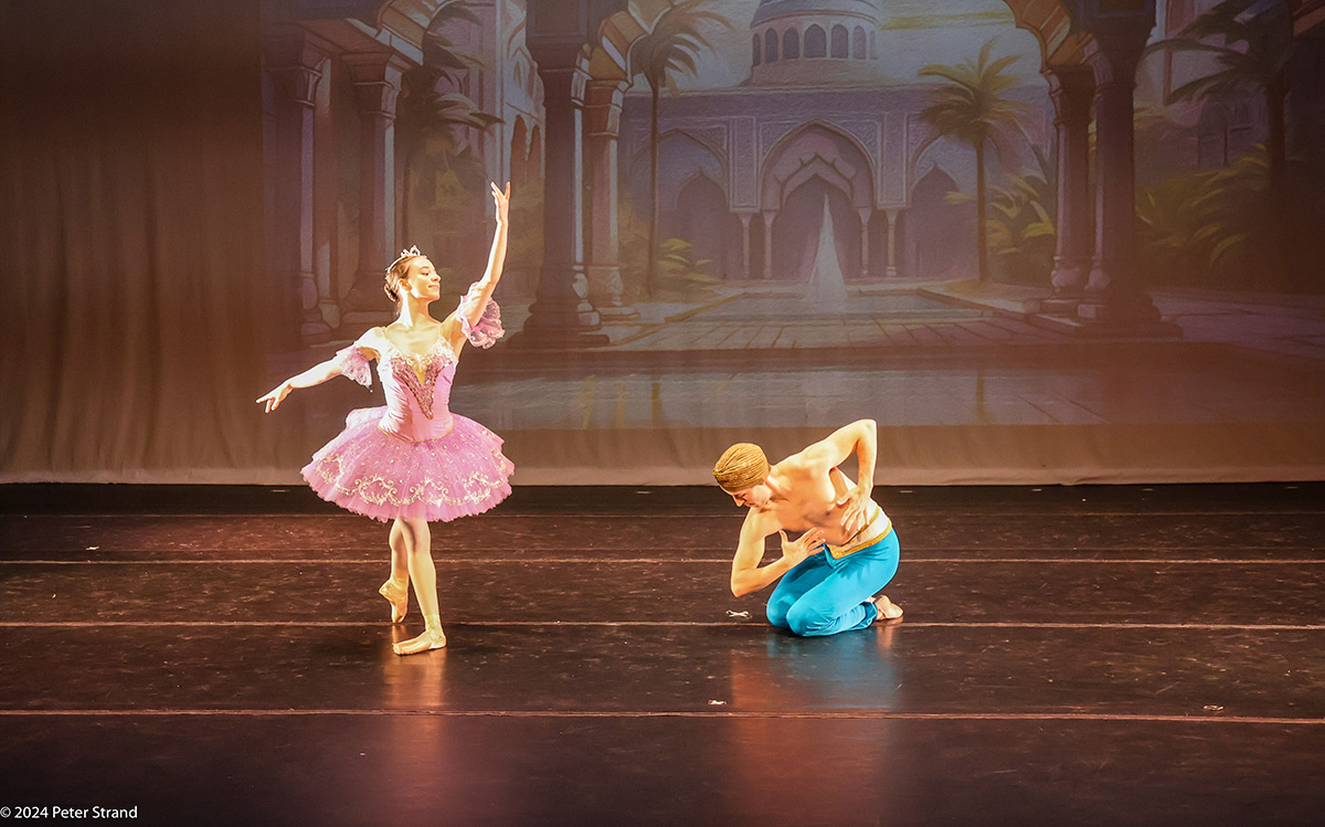 Ballet Ariel's 25th Anniversary performance