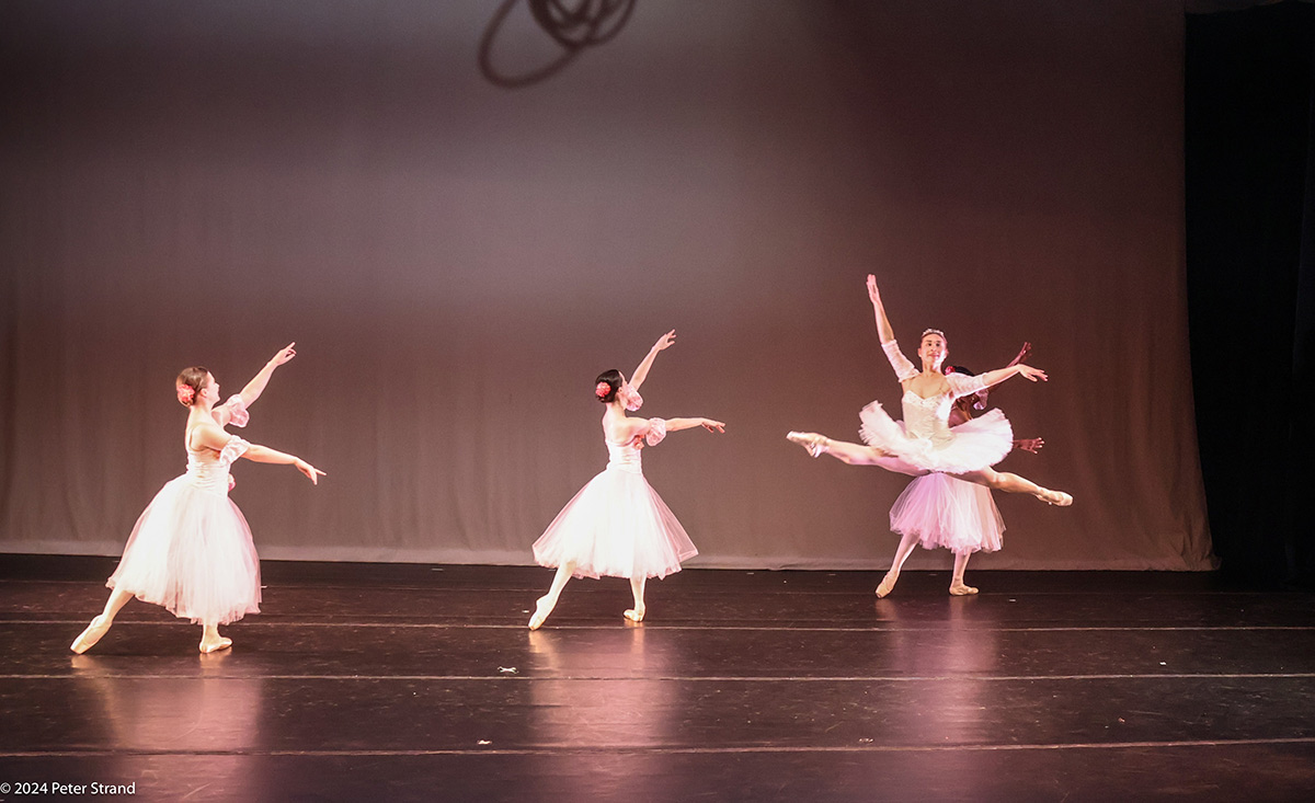 Ballet Ariel's 25th Anniversary performance
