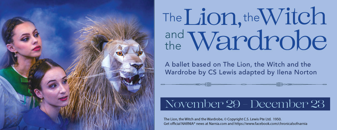 The Lion, the witch and the Wardrobe banner